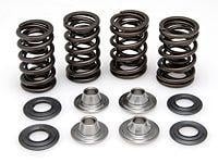 Valve spring set - valve, 06-08