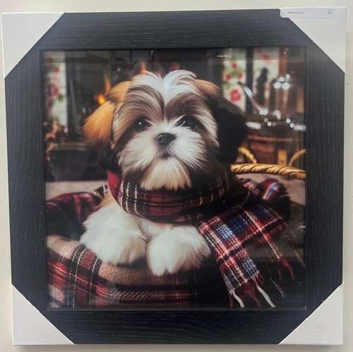 Black framed picture - , shih