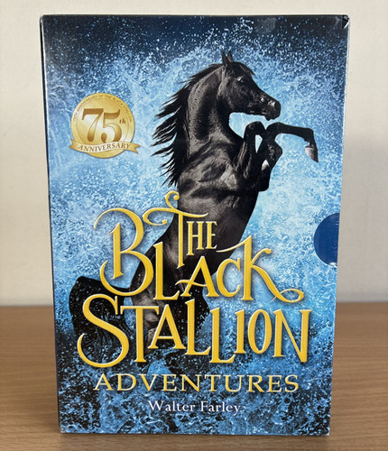 The black stallion - black, adventures