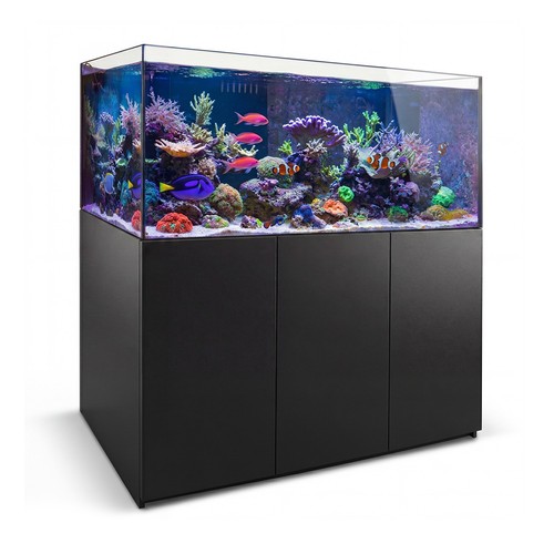 220 gallon coral - 220,