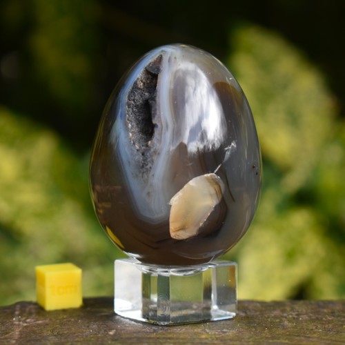 Banded agate crystal - druzy, egg