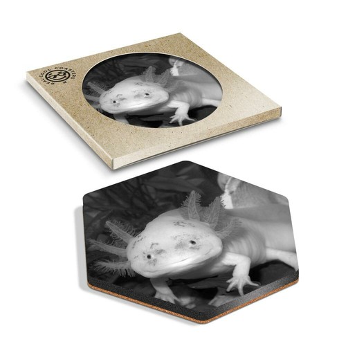 Hexagon coaster bw - hexagon,