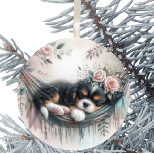 King charles cavalier spaniel - charles,