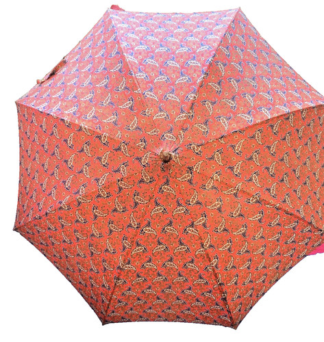 Vintage fox red paisley - fox,