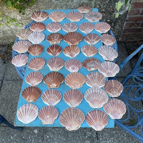 Sea worn medium - sea,