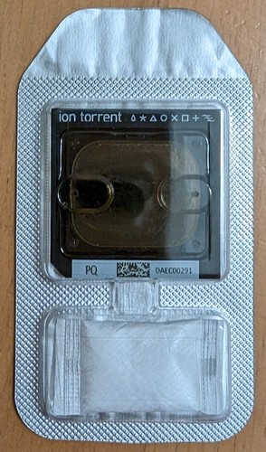 Iontorrent ion chip - pq,