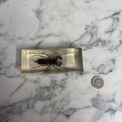 National geographic bugs - national,