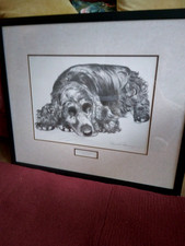 POLLYANNA PICKERING Cocker spaniel blue roan print 25" x 21 "