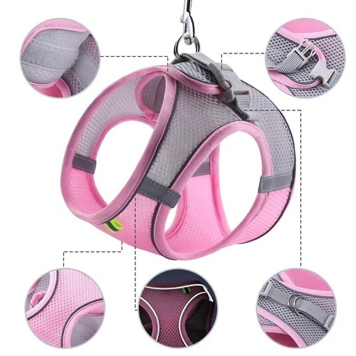 Reflective dog puppy pet - reflective,