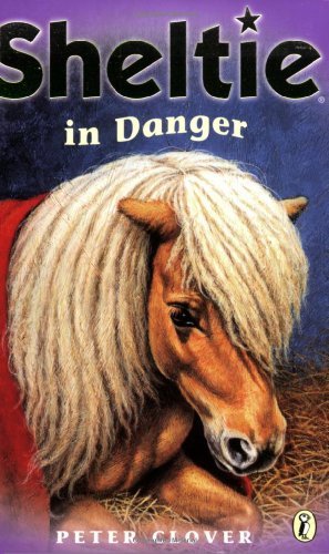 Sheltie danger and - sheltie,