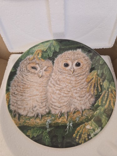 Limited wedgewood the baby - the,