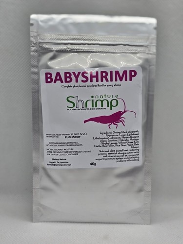 Shrimp nature baby - nature,