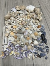 Large Bundle of Over 200