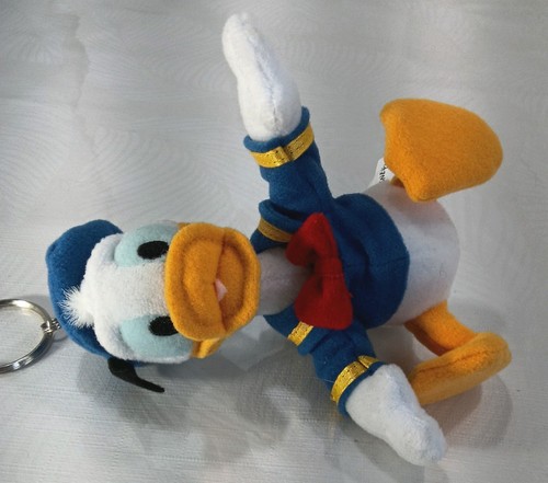 Disneyland paris donald duck - disneyland,