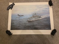 Hms invincible roderick - invincible,