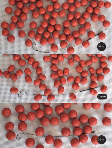 Bloodworm boilies carp fishing - bloodworm,