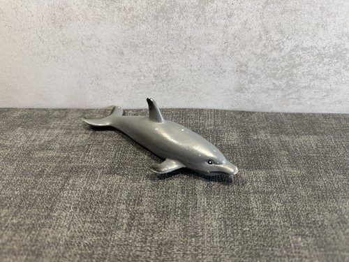 Common dolphin sealife animal - common,