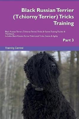 Black russian terrier - terrier, tchiorny