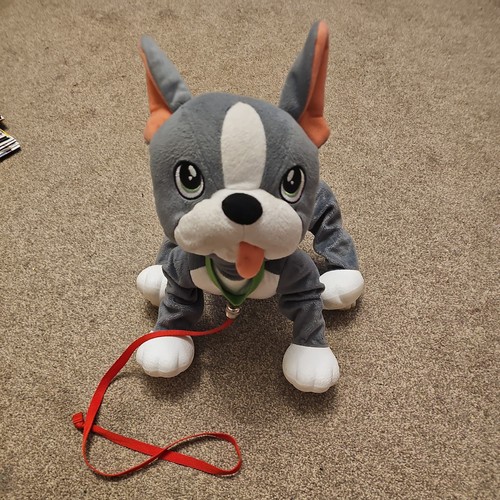 Peppy pups french bulldog - peppy,