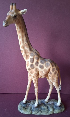 Nature wildlife realistic - nature,