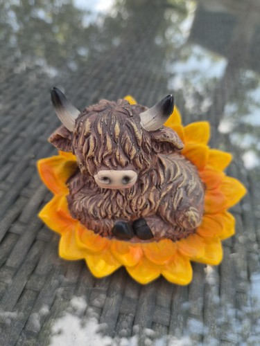 Cute decorative highland - highland, cow