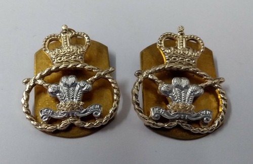 Staffordshire regiment collar - staffordshire,