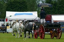 Photo 6x4 The South of England