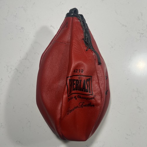 Vintage everlast 4210 gyro - vintage, #4210