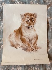 Vintage Original Specimen