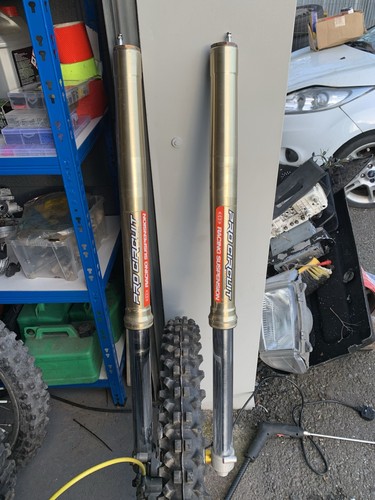 2010 rmz 250 forks - 250,
