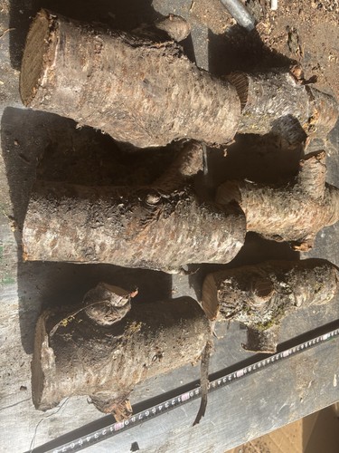 Cherry blanks wood - cherry,