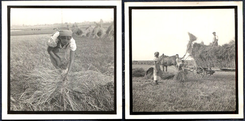 Ww2 original photos - 2x,