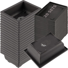 20 PCS 6.5 Inch Bonsai