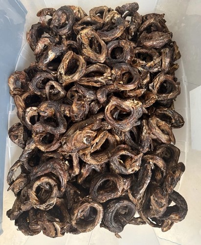 Sold out 15pieces smoked - 15pieces, of