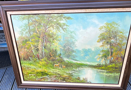 R.Danford forest and animal