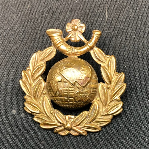 Royal marine light infantry - royal,