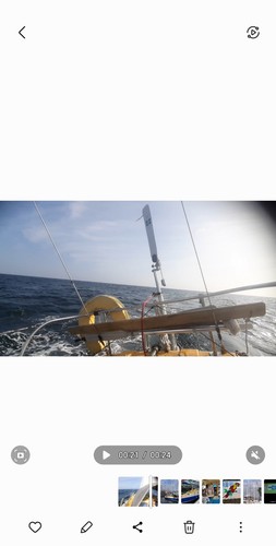 Sea feather wind - sea, vane
