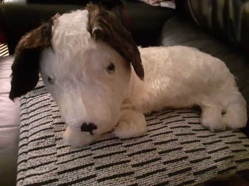 Caesar black white dog - white,