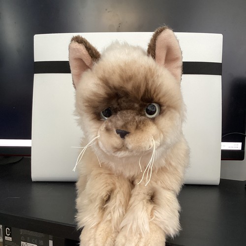 Webkinz signature ragdoll - webkinz, cat