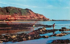 Picture Postcard_ Exmouth
