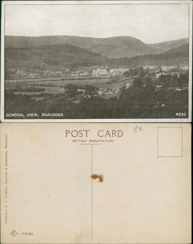 Rhayader general view - rhayader,