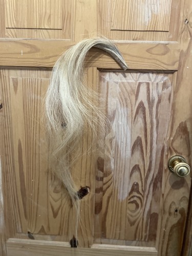 Blonde natural horse hair - natural, tail