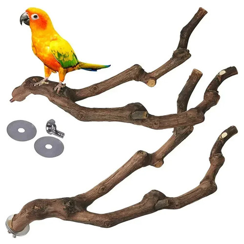 Wooden parrot bird stand tree - parrot,
