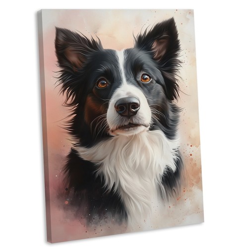 Border collie dog canvas - canvas, wall