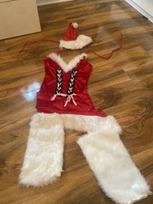 Womens Santa Claus Fancy Dress