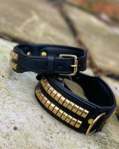Leather dog collar studded - dog,