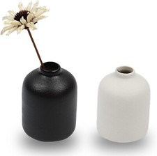 Set of 2 Ceramic Vase for