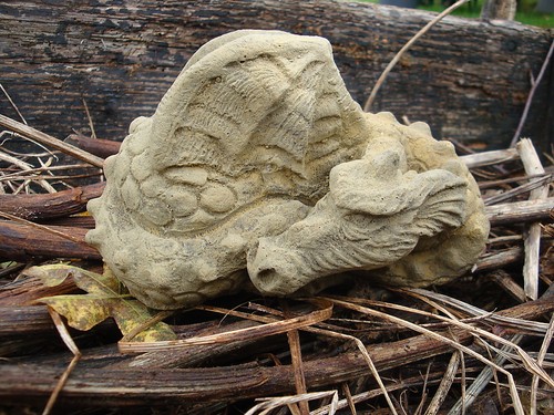 Baby dragon small mythical - dragon,