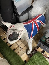 Bully English Bulldog