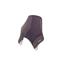 PUIG Dark Smoke Naked Fairing